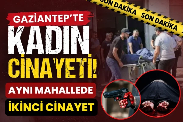 Kadın cinayeti sayısında endişelendiren artış