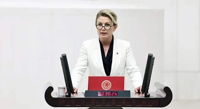 CHP’li Asu Kaya’dan Gözaltına Alınan Gazeteciler İçin Tepki