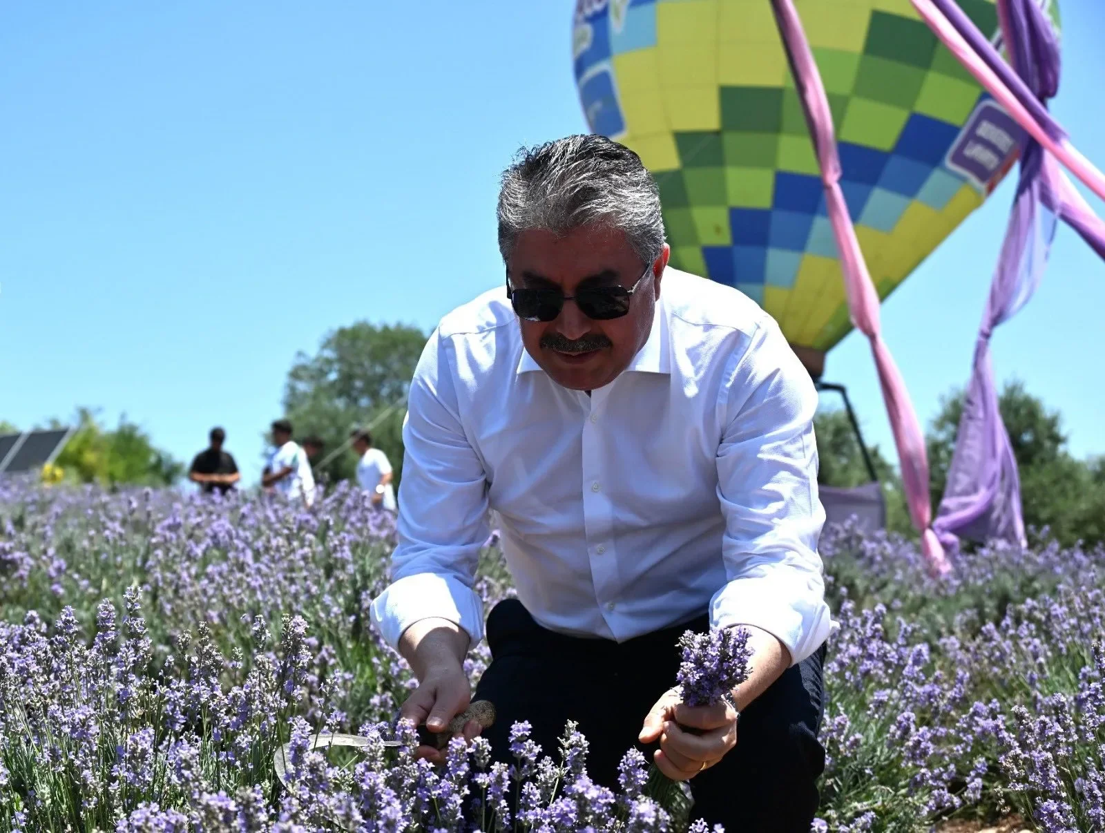 Kadirli’de Lavanta Hasadı ve Festival Coşkusu