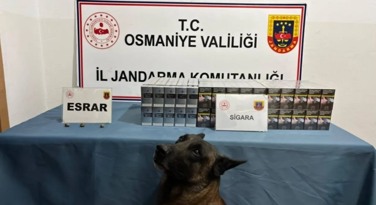 Osmaniye’de 1 Haftada 118 Şüpheli Gözaltına Alındı