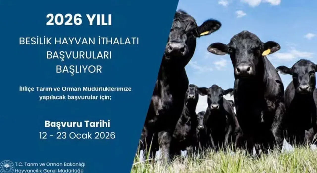Osmaniye’de Besilik Hayvan İthalatı Başvuruları Başlıyor