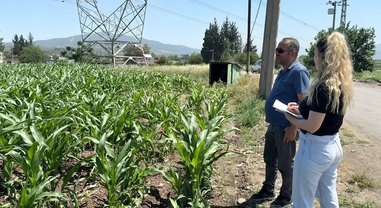 Osmaniye’de Çiftçiye Yerinde Eğitim Desteği