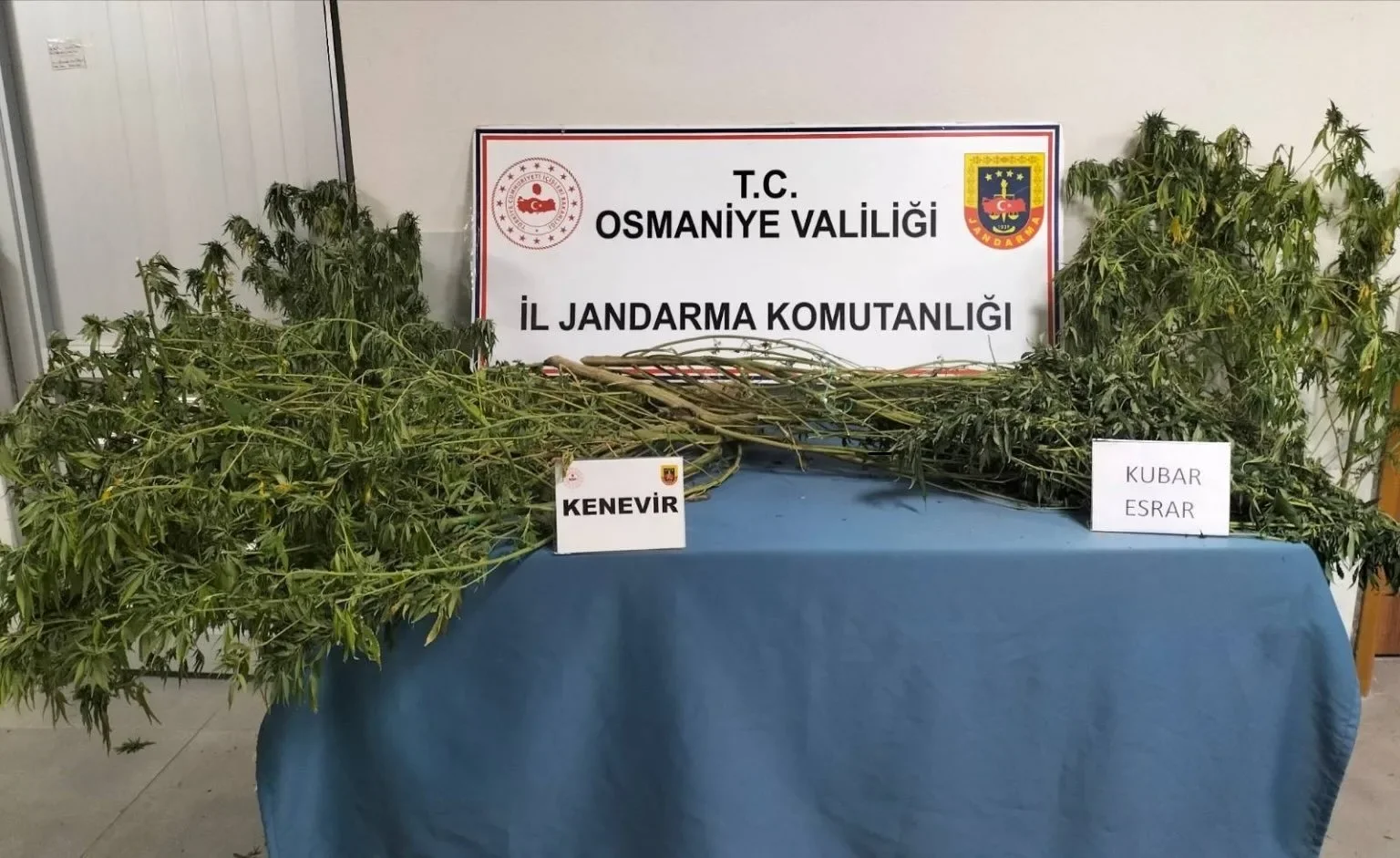 Osmaniye Jandarmadan 1 Haftada 123 Asayiş Operasyonu