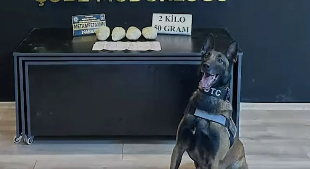 Osmaniye’nin Narkotik Köpeği Jardi Türkiye Birincisi