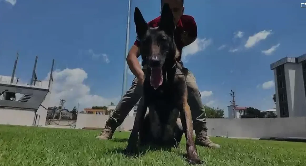 Osmaniye'nin Narkotik Köpeği JARDİ Türkiye Birincisi